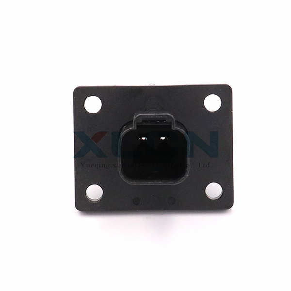 DT04-2PB-L012